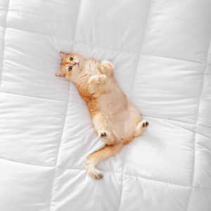 Bán Tốt Nhất Sang Trọng Fluffy Quilt 5 Sao Khách Sạn Bán Buôn 100% Bông Chăn Bộ Đồ Giường Tất Cả Các Mùa Bé Comforter - Product Image 5