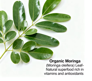 Capsules et poudre de feuilles de Moringa biologiques OEM/ODM, origine unique, antioxydant, métabolisme énergétique et soutien immunitaire pour adultes - Product Image 3