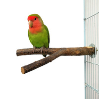 Mini arbre en bois naturel, tronc d'arbre, perchoir pour perroquet, jouet en bois pour cage à oiseaux, décoration, matériau en bois massif, résistant à la morsure