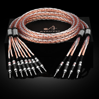 OCC kabel Speaker Hifi berlapis perak, kabel bi-wiring dengan Terminal pisang satu pasang untuk aplikasi mikrofon