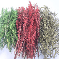 Simulation de scénario de bricolage Matériaux de modèle miniature Végétation à feuilles longues et production d'herbe de roseau de petits arbres