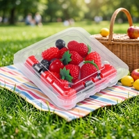 Contenants alimentaires rectangulaires en plastique transparent avec couvercle en PET jetable type coquille, pour viande, aux contenances 250g, 500g, 1000g, aux couleurs Myrtille, Fraise, Cerise