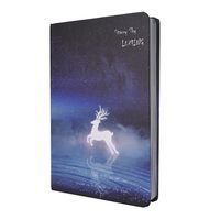 Offre Spéciale personnalisé Oem couverture rigide Logo personnalisé Voyageur Cahier à feuilles mobiles Fabricant