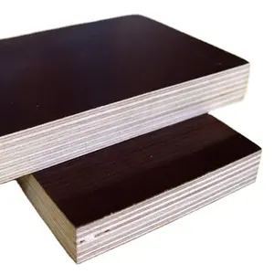 POPLAR Graphic Design 1 YEAR Construction Formwork Shuttering Plywood Conrete Film Faced Plywood 12mm 15mm 18mm 21mm Birch E1