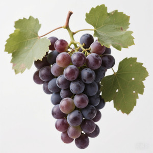 Commercio all'ingrosso della fabbrica di succo d'uva estratto in polvere 100% frutta uva fresca in polvere