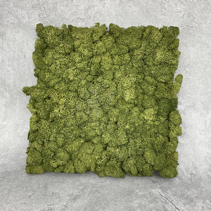 Usine en gros personnalisé Haute Qualité Préservé <span class=keywords><strong>Mousse</strong></span> panneau décoratif <span class=keywords><strong>fleurs</strong></span> mur <span class=keywords><strong>fleurs</strong></span> artificielles - Product Image 3