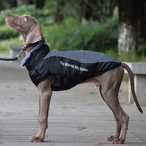 <b>Small</b> <b>Dog</b> Autumn <b>Winter</b> Warm Reflective Thickened Waterproof Jacket Printed Pattern <b>Dog</b> Clothes <b>Winter</b> Warm Pet Vest Jacket - Product Image 4