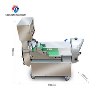 TS-Q118 Automatische Bladeren Groentesnijder Machine/Groente Slicer Apparatuur Prijs Fruit Groente Verwerking Machines N