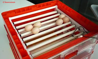 Incubateur d'œufs entièrement automatique, équipement d'élevage avicole économique, type tiroir, pour l'éclosion de poulets, canards, cailles