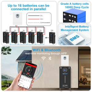 Batería Híbrida de Fosfato de Hierro y Litio de 51.2V 200Ah 280Ah 300Ah 314Ah, Impermeable, para Red Eléctrica, 5kWh 14kWh 15kWh 16kWh - Product Image 2