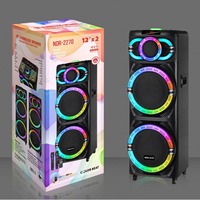 Haut-parleurs portables sans fil doubles de 12 pouces à faible MOQ pour utilisation directe avec lumières RGB, microphone, audio pour danse de rue, carte enfichable, en plastique