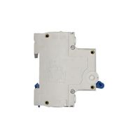 Disjoncteur différentiel (RCBO/RCCB/RCD) 2P 3P 4P 40A 6kA 400V sur rail DIN en plastique pour usage domestique