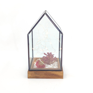 Terrario Geométrico de Vidrio en Forma de Pentágono <span class=keywords><strong>Grande</strong></span> para Plantas, Adornos para <span class=keywords><strong>Decoración</strong></span> de Interiores, Hogar, Jardín y Oficina - Product Image 3