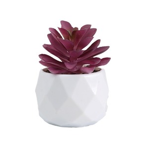 Succulente Artificiale Realistica in Vaso, Formato Piccolo, Pianta Artificiale Viva come Vera - Product Image 5