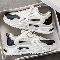 Nouvelles Baskets Décontractées Homme Bestseller, Respirantes en Maille Blanche, pour l'Extérieur, Rehaussantes, de Sport et de Course, Style Chunky, Vente Directe Usine