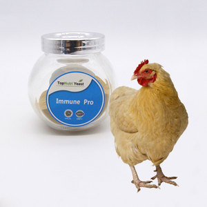 Bột chất xơ cao dinh dưỡng thức ăn số lượng lớn vật nuôi động vật chăn nuôi bột thực phẩm lớp brewer men - Product Image 6