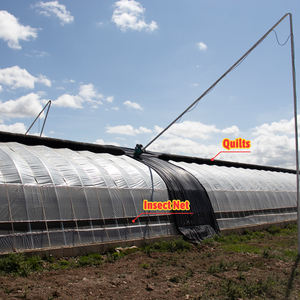 <span class=keywords><strong>Invernadero</strong></span> de Acero Galvanizado con Película de PE de un Solo Tramo Baolida, con <span class=keywords><strong>Manta</strong></span> Térmica de Alta Calidad <span class=keywords><strong>para</strong></span> Uso en Exteriores - Product Image 6