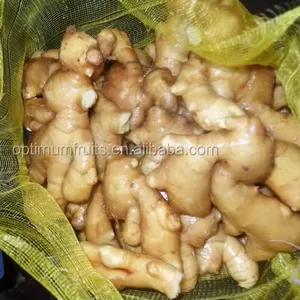New Arrival!!! - Fresh Air Ginger, supply in 40'' reefer container ginger to export