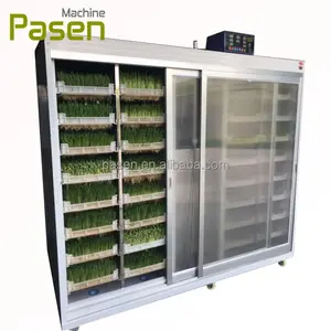 Hydroponic arpa yem hayvan yemi yulaf filizlenme makinesi