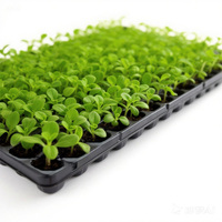 Plateau de semis Microgreens en plastique à 50 cellules avec petits trous pour un bon drainage Plateaux et couvercles de pépinière adaptés à la culture hydroponique