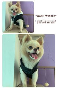 เสื้อกันลมกันน้ำ3อุณหภูมิควบคุมด้วยยูเอสบีให้ความอบอุ่นสำหรับสัตว์เลี้ยงเสื้อแจ็คเก็ตให้ความร้อนสำหรับสุนัข - Product Image 6