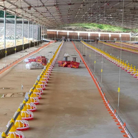 Système d'alimentation automatique en chaîne pour poulets en plastique, pour poules reproductrices, neuf et équipement agricole pour l'élevage en plein air