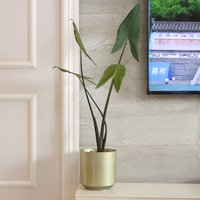 Pot de fleur en plastique moderne et durable bon marché rond décor de plantation de sol de bureau avec plusieurs tailles pour la maison jardin intérieur extérieur