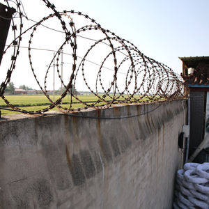 Alambre de púas espiral de acero galvanizado BTO22, tamaño de rollo personalizado para venta al por mayor - Product Image 5