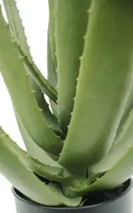 70cm di plastica artificiale simulata piante 24 foglie ornamentali casa giardino arredamento Bonsai realistico asfodelaceae barbados Aloe