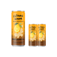 Cocktail protéiné au citron et au gingembre, 10% ABV, 10g de protéines de lactosérum, boisson en conserve sans sucre, prête à boire, boisson alcoolisée 330ml