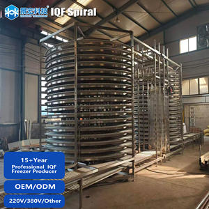 Congelador Espiral de Alta Eficiencia KINGCOLD IQF, Congelación Rápida, Espiral Simple o Doble Opcional, Congelador de Congelación Rápida - Product Image 2