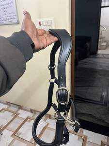 Bridon de cheval en cuir personnalisable haut de gamme - Fabrication OEM de haute qualité, confortable et durable, en cuir véritable - Product Image 3