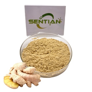 Poudre instantanée soluble dans l'eau d'extrait de gingembre commande minimum de 1kg disponible dans le tambour de bouteille ou l'emballage de boîte - Product Image 1