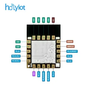 Holyiot Ventas directas de fábrica Ultra-Bajo consumo de energía Bluetooth Ble Módulo Nordic nRF52805 Soc Bt 5,0 Módulo