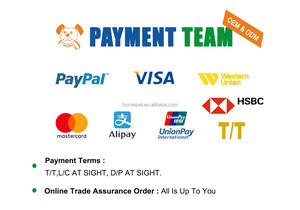 מפעל יצוא ישיר חם מכירה חינם מדגם מזין מאוזן מחיר נמוך בריא אורגני סופר פרימיום כלב מזון - Product Image 4