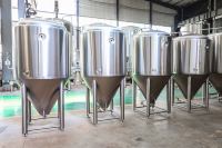 Équipement de micro-brasserie 600L avec cuve sous pression et pompe contrôlées par PLC, système de fermentation d'alcool pour pub