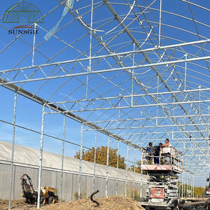 <span class=keywords><strong>Plaque</strong></span> latérale en <span class=keywords><strong>polycarbonate</strong></span> et film PO pour couverture supérieure <span class=keywords><strong>de</strong></span> serre - Product Image 5