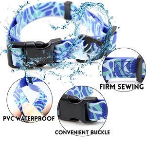 Set di design di lusso impermeabile e resistente in PVC/PU collari per cani da passeggio regolabili con guinzaglio imbottito 1.2m stampa collare per cani personalizzato - Product Image 3