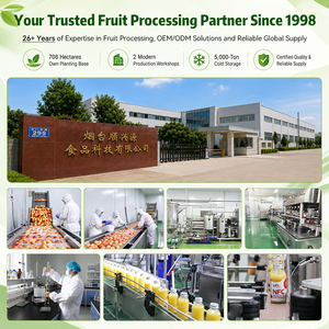 Lotlong OEM Private Label Peach Beverage <strong>Jam</strong> Heavy Duty Pack <strong>Artisan</strong> Fruit <strong>Jam</strong> for Milk Tea Stores &amp; Home Use - Product Image 5