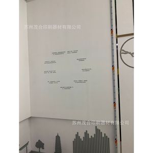 Láminas de Plástico para Serigrafía, Murales de Pared con Diseño Personalizado, Acabado de Superficie, Ciclo de Producción de 4 a 7 Días - Product Image 3