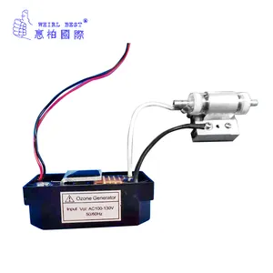 Tùy chỉnh nước Ozone Lọc DC24V DC12V mini nhỏ Máy phát điện Ozone cho không khí tiệt trùng y tế