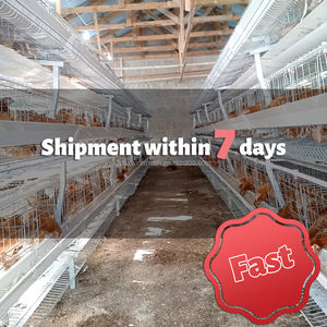 Jaula para <span class=keywords><strong>Pollitos</strong></span> Tipo H, Jaula para Cría <span class=keywords><strong>de</strong></span> Aves <span class=keywords><strong>de</strong></span> Corral, Equipo <span class=keywords><strong>de</strong></span> Avicultura para Cría <span class=keywords><strong>de</strong></span> <span class=keywords><strong>Pollitos</strong></span> Pequeños, Gran Oferta - Product Image 5