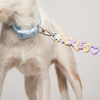 Set Kalung dan Tali Anjing PVC Anti Air Warna Macaron Menyala dalam Gelap untuk Anjing Kecil Sedang Besar Grosir