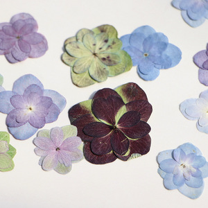 Kuaid Double Hortensia Peinture de fleurs en relief <span class=keywords><strong>Herbier</strong></span> <span class=keywords><strong>Presse</strong></span> à fleurs séchées Marque-page Décoration de visage Fleurs séchées - Product Image 3