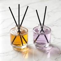 Bouteille diffuseur d'arômes décorative en verre vide, personnalisable avec logo, pour usage en laboratoire, avec bâtonnets en rotin
