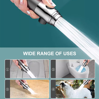 Puissant pommeau de douche à main à motif de pluie avec filtre à ions négatifs Surface brossée robinet de bain pulvérisateur de Massage pour salle de bain