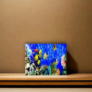 1PC DIY 40*50cm <span class=keywords><strong>Peinture</strong></span> Diamant Motif Monde Marin Rond Complet 5D <span class=keywords><strong>Acrylique</strong></span> Moderne pour Décoration Murale - Product Image 4