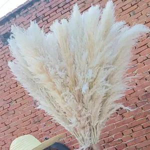 Large 4ft Tall Fluffy Natural Dried Pampas Grass Trending Decor Home Shower Wedding Farmhouse Boho Rustic Decor