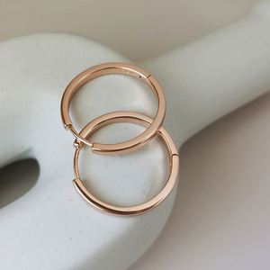 hypoallergenic earrings hooks 925 Cross border multi Professional Cost-effective Sourcing Nickel-<b>free</b> Vacuum Plating Link <b>Weight</b> - Product Image 2