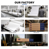 Papier autocollant synthétique PP mat, imperméable, matériau pour affiches 120-160 g/m², résistant aux UV, vente en gros pour la publicité extérieure